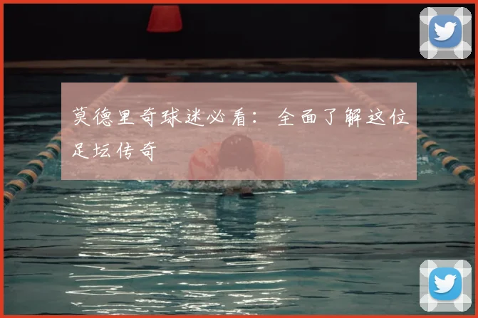 莫德里奇球迷必看：全面了解这位足坛传奇
