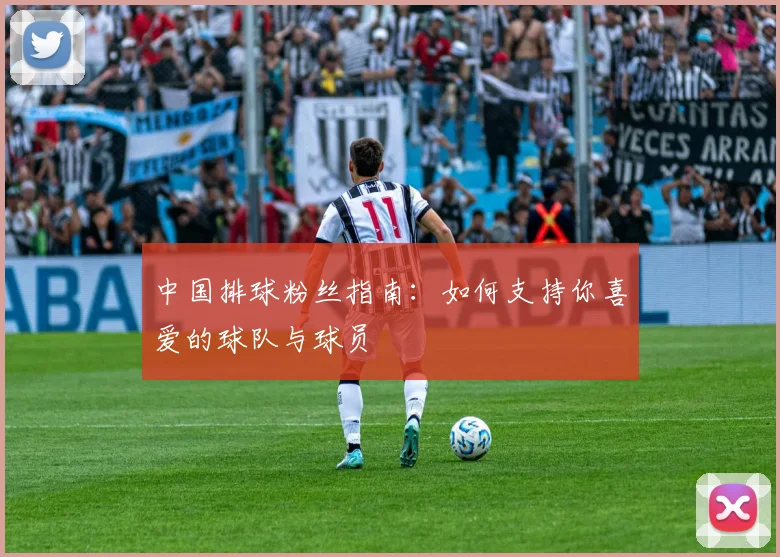 中国排球粉丝指南:如何支持你喜爱的球队与球员