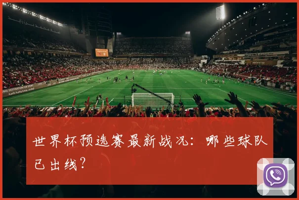 世界杯预选赛最新战况:哪些球队已出线?