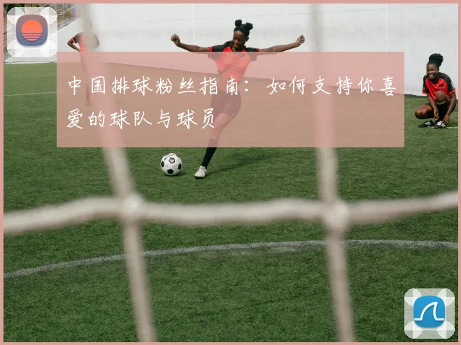 中国排球粉丝指南：如何支持你喜爱的球队与球员
