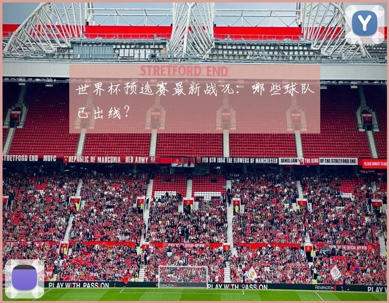 世界杯预选赛最新战况：哪些球队已出线？